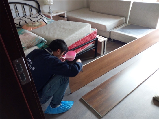 如何去除甲醛？洋蔥可以除甲醛嗎